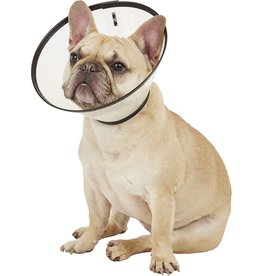 cardinal labs *DISC* Remedy Recovery collier L 9 1/2 - 15 1/2''