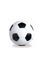 Planet Dog *DISC* Planet Dog Ballon soccer