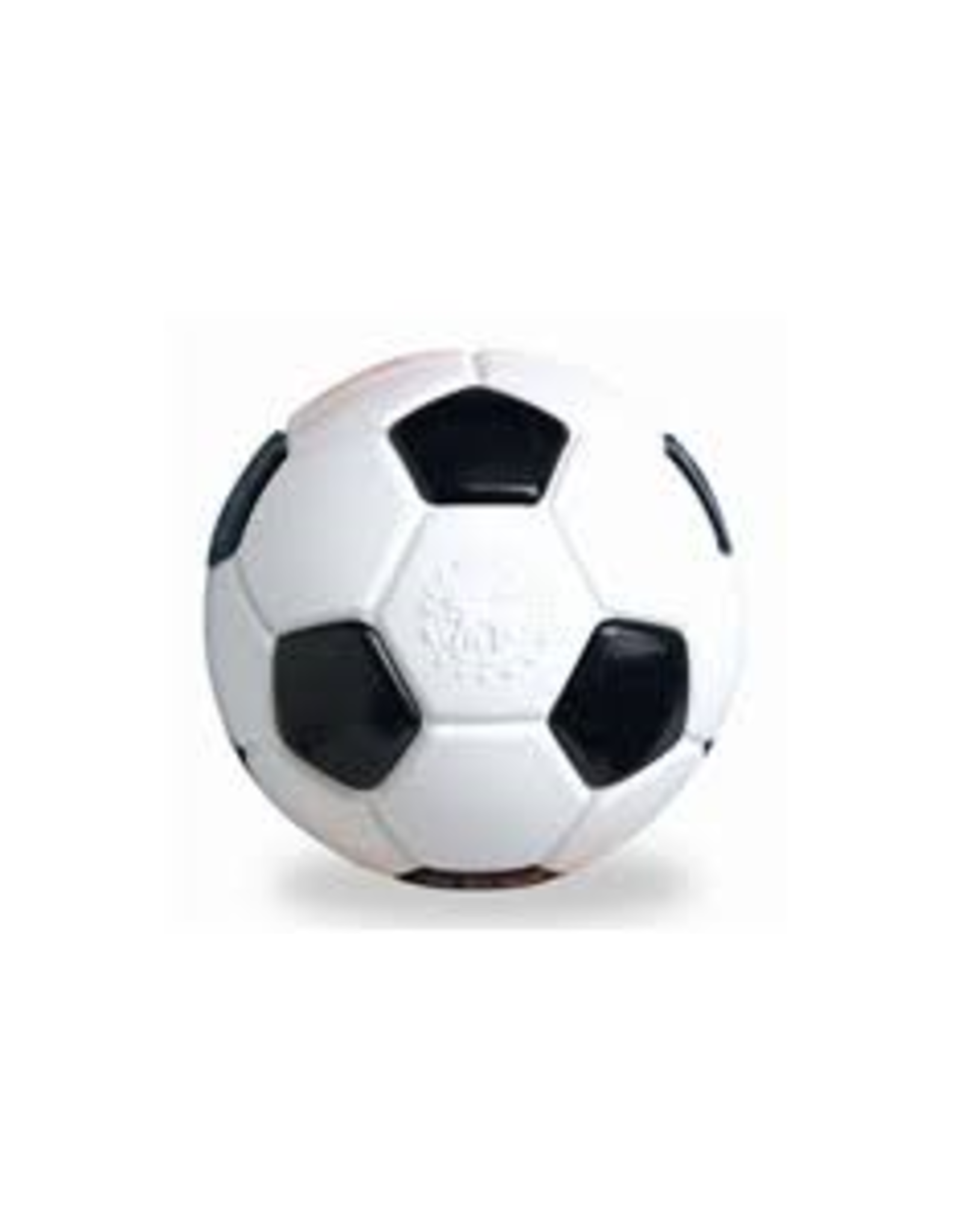 Planet Dog *DISC* Planet Dog Ballon soccer