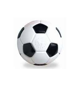 Planet Dog *DISC* Planet Dog Ballon soccer