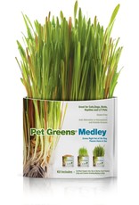 bellrock Pet Greens herbe à chat medley