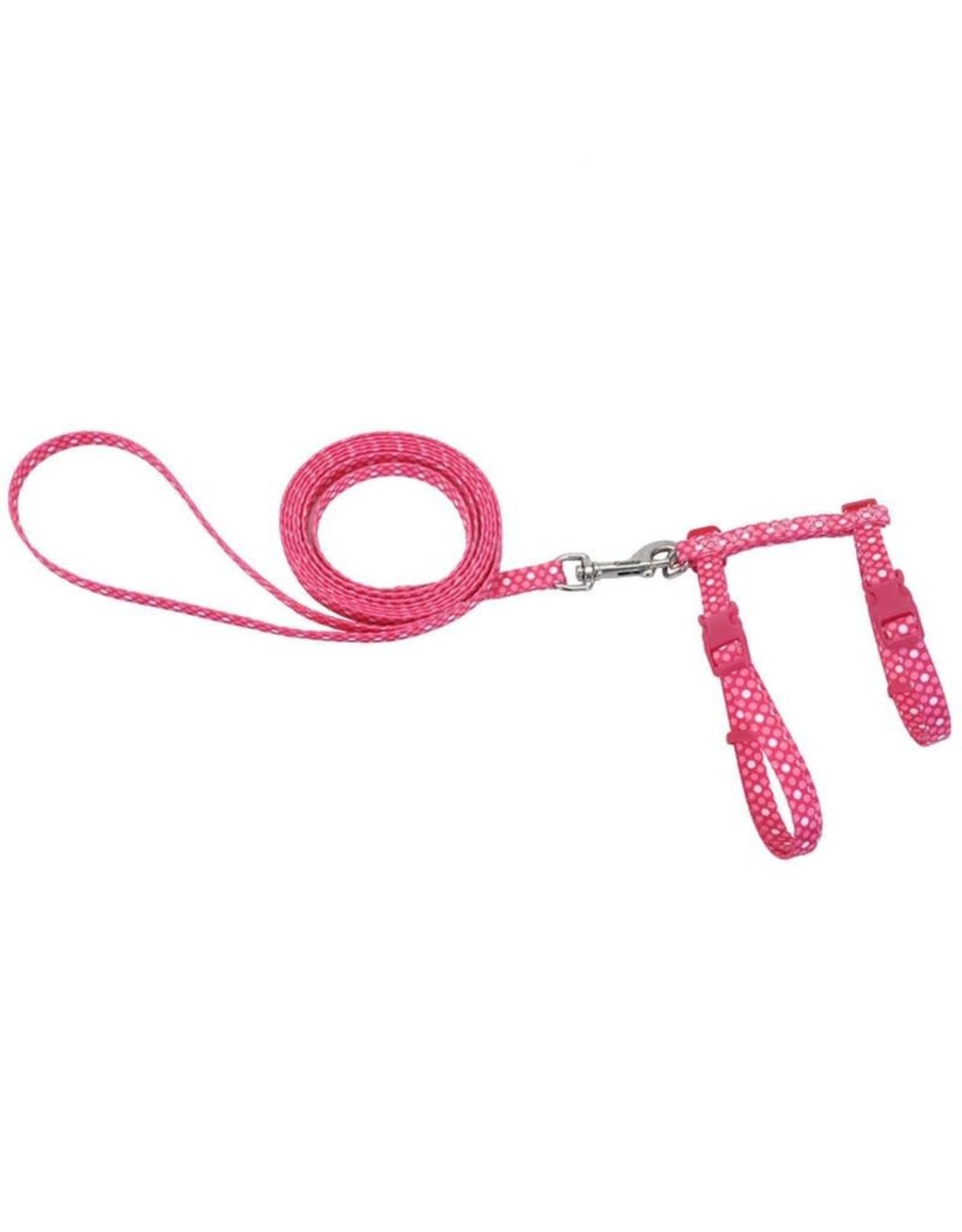 Coastal *DISC* Coastal harnais fashion rose 11-18'' (Chat)