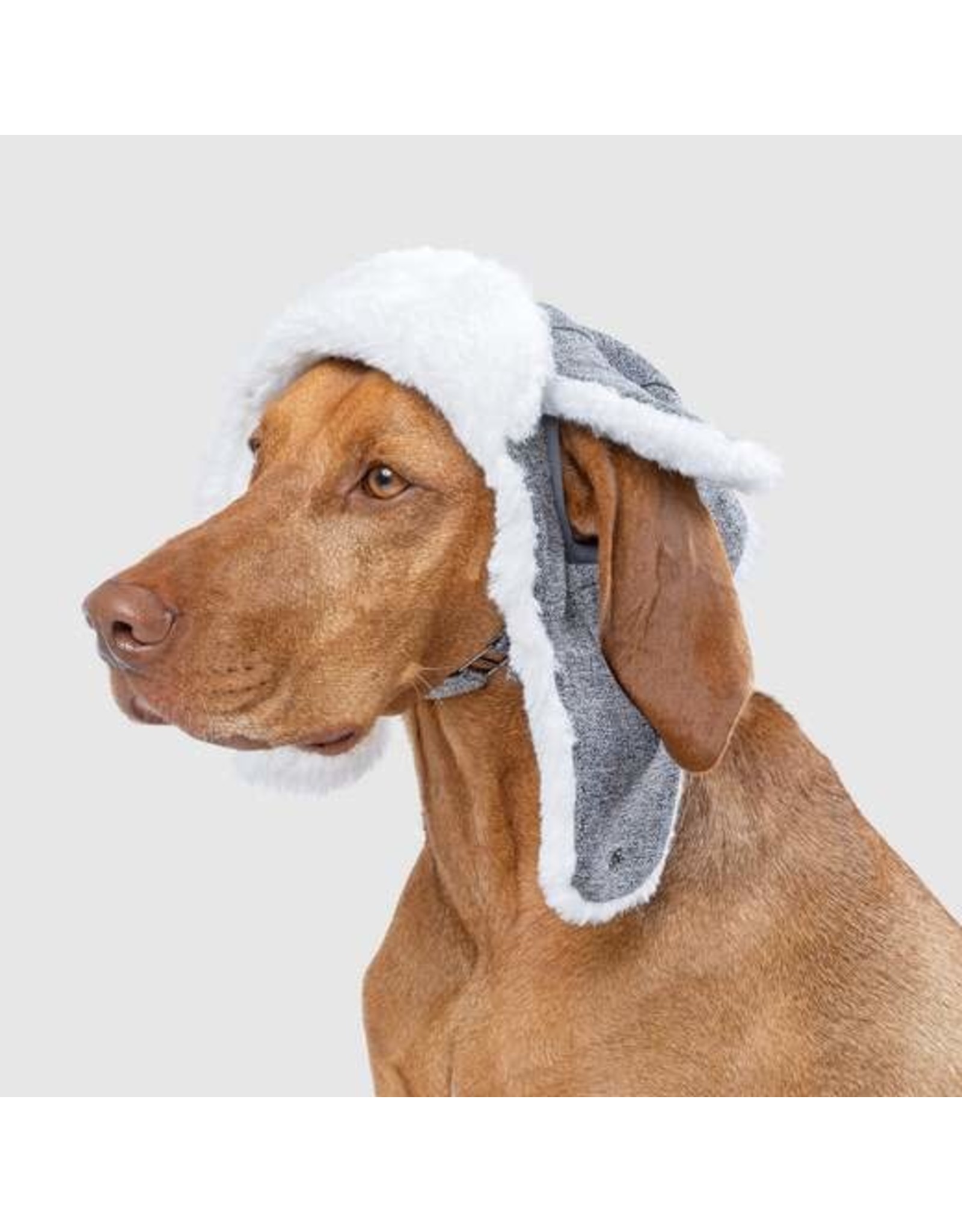 canada pooch *DISC* Canada Pooch tuque artic S