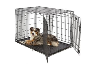 Cages, Enclos & Transporteurs