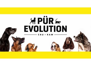 PurEvolution
