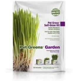 bellrock Pet Greens kit herbe à chat