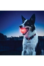 Nite Ize *DISC* Nite Ize glowstreak balle led