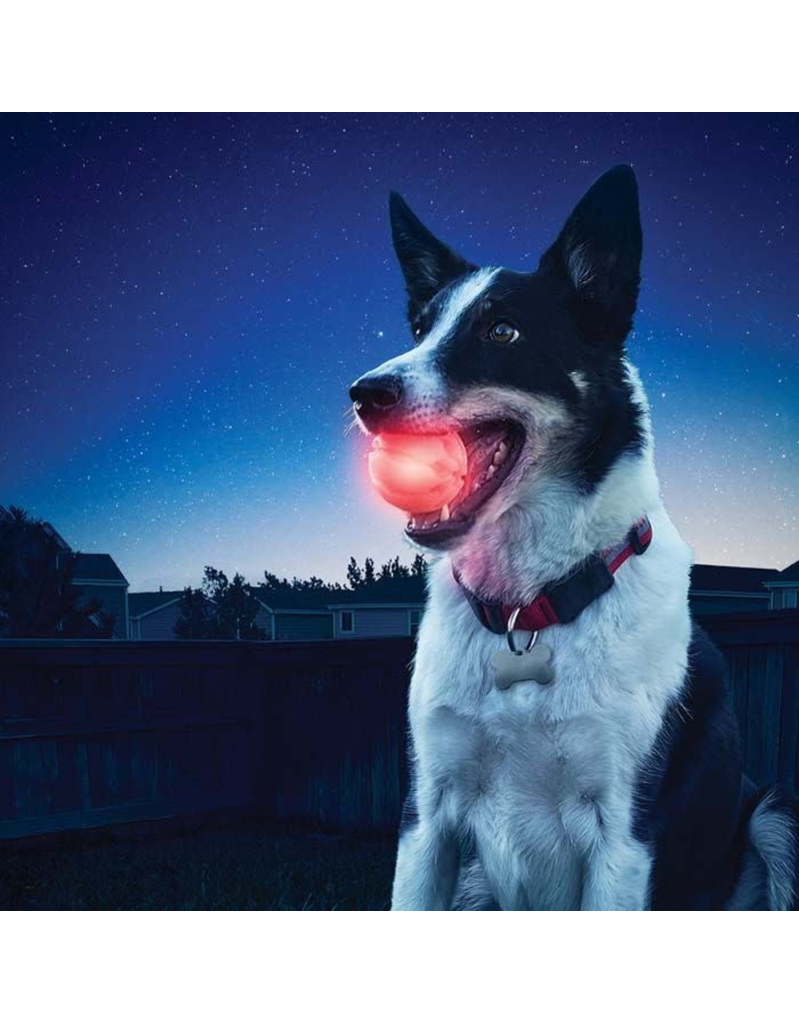 Nite Ize *DISC* Nite Ize glowstreak balle led