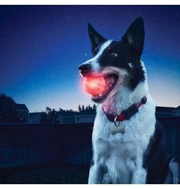 Nite Ize *DISC* Nite Ize glowstreak balle led