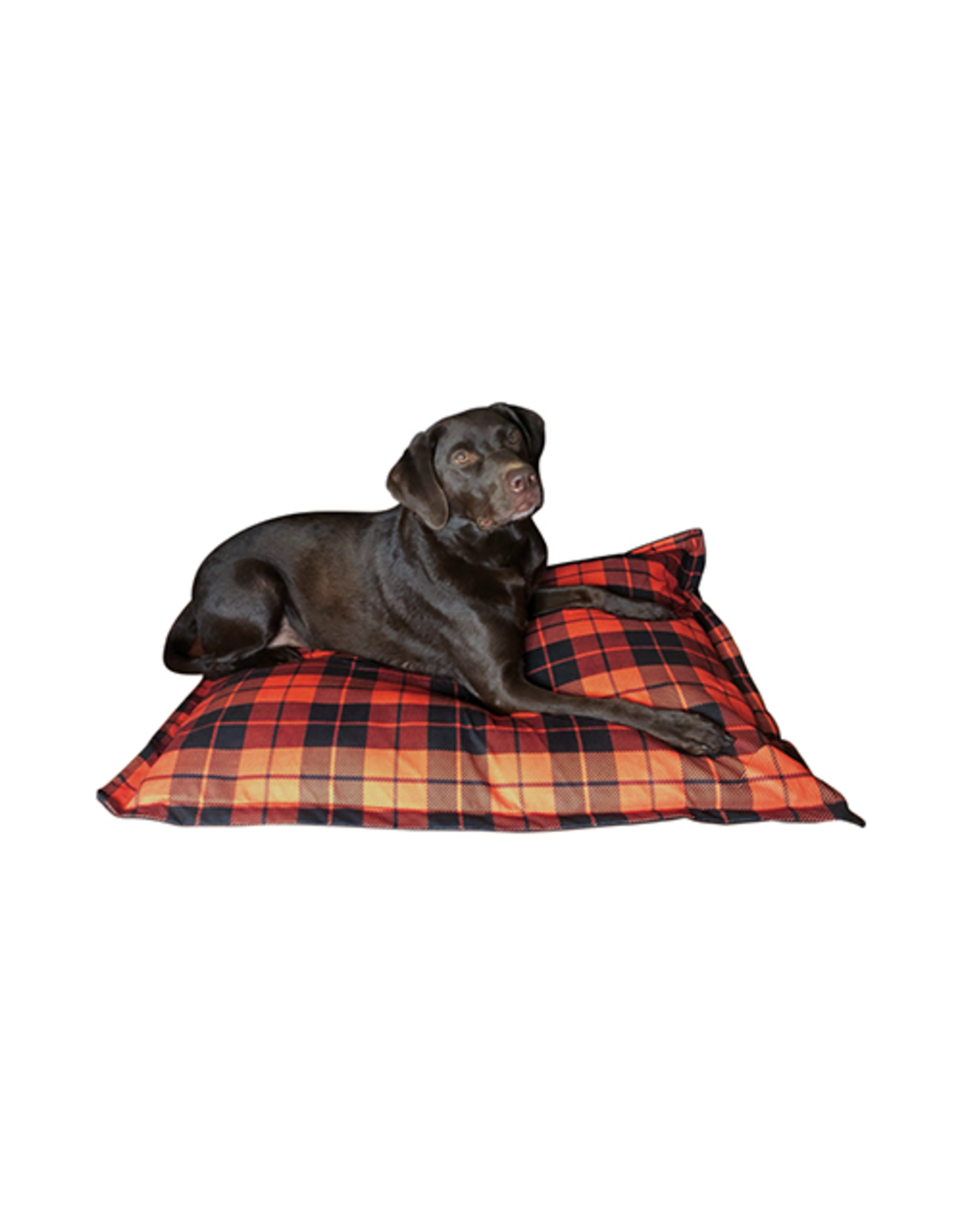 Ruff Love *DISC* Ruff Love lit cloud pillow Buffalo Plaid 35x46