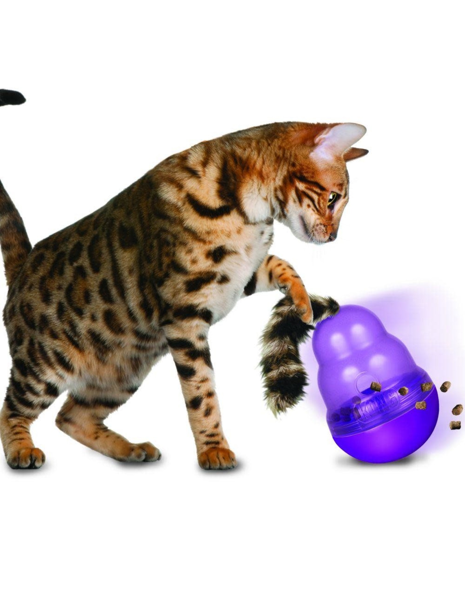 kong *DISC* Kong Wobbler chat