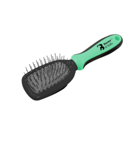 Baxter & Bella *DISC* Baxter & Bella brosse à picot chat