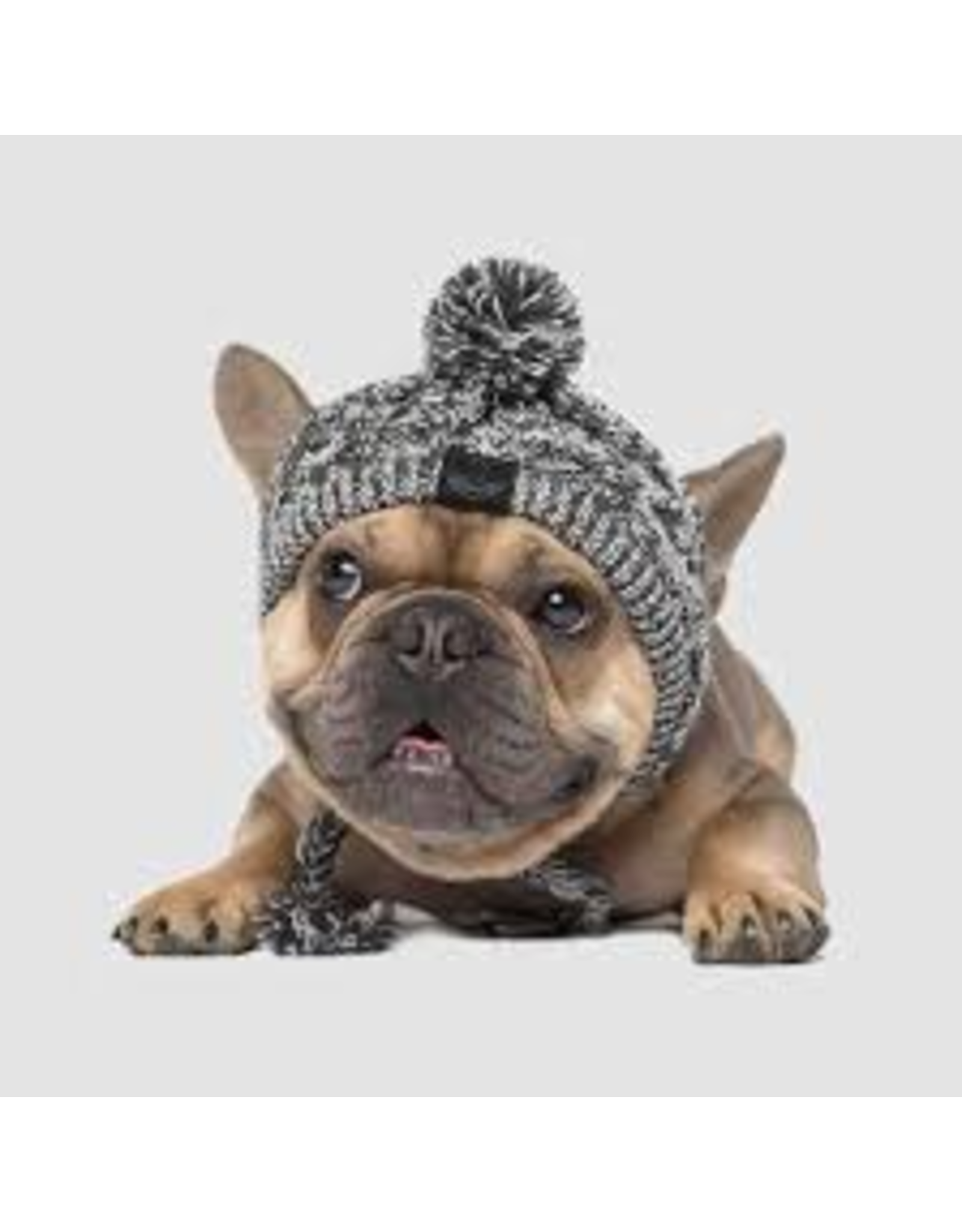 canada pooch Canada Pooch tuque charcoal