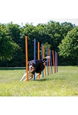 Trixie Trixie slalom plastic