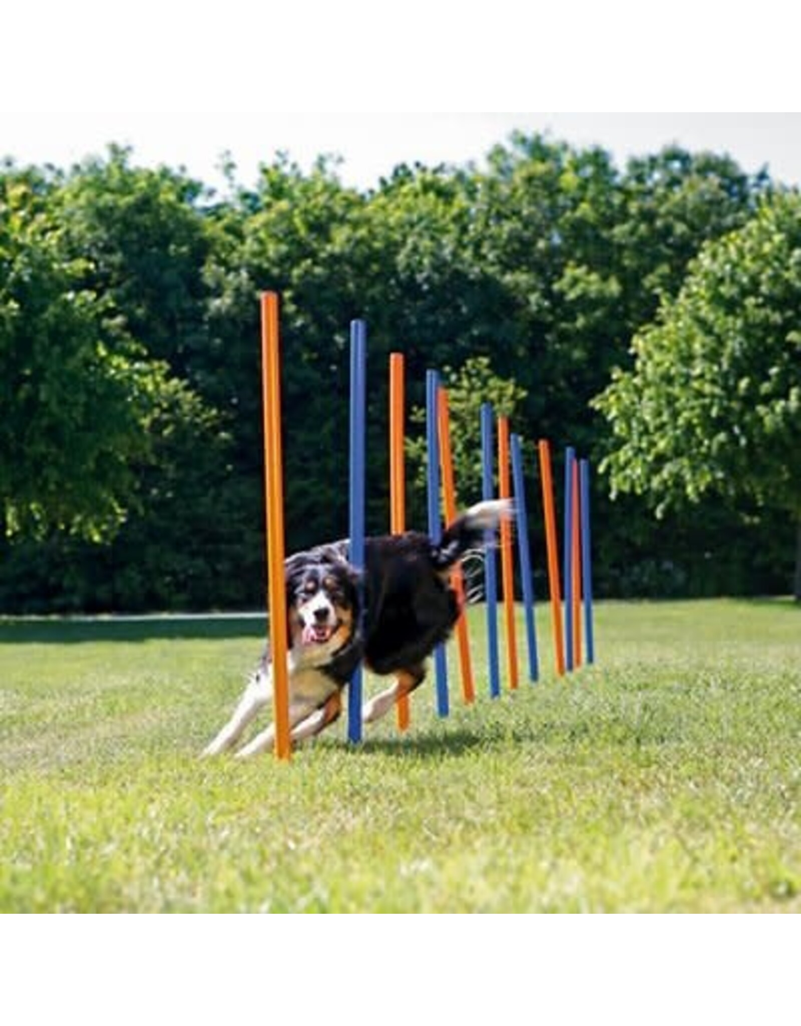 Trixie Trixie slalom plastic
