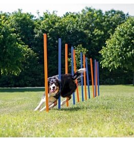 Trixie Trixie slalom plastic