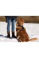 Beli concept canin Beli Écusson ne pas toucher