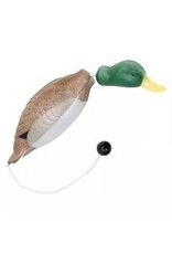 Coastal Coastal Water & Woods canard d'entrainement L