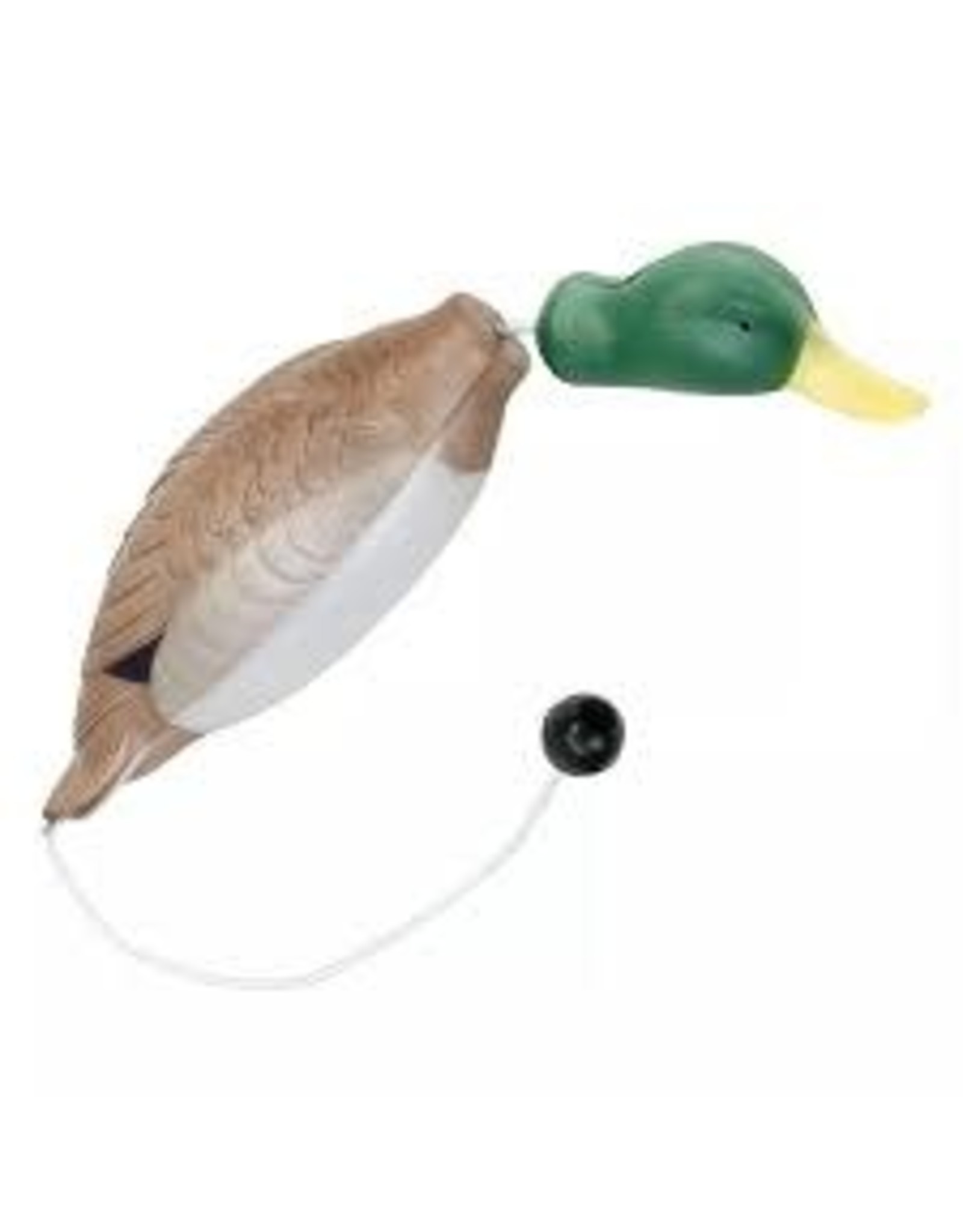 Coastal Coastal Water & Woods canard d'entrainement S