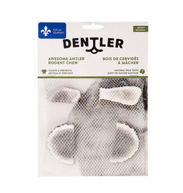 Dentler Jawgler bois cervidé rongeurs