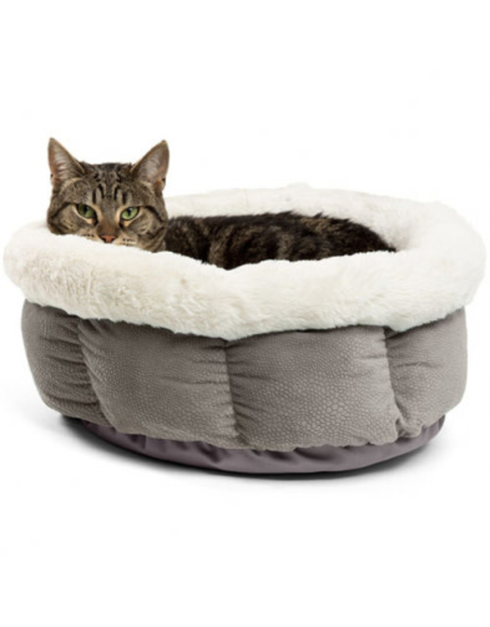 Pawsh *DISC* BFBS Lit Cuddle cup gris