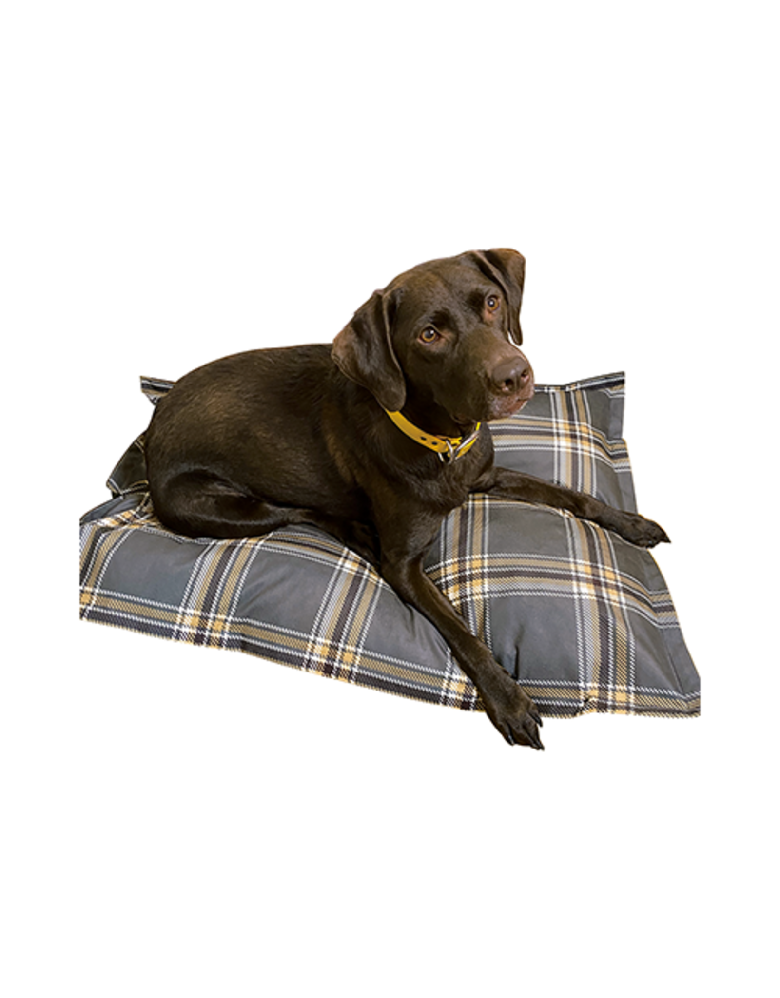 Ruff Love *DISC* Ruff Love lit cloud pillow Buffalo Plaid Gris et Tan 35x46