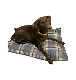 Ruff Love *DISC* Ruff Love lit cloud pillow Buffalo Plaid Gris et Tan 35x46