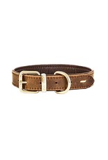 EZYDOG *DISC* Ezydog Collier Oxford cuir brun