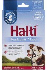 the company of animals Halti le licol