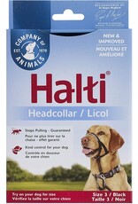 the company of animals Halti le licol