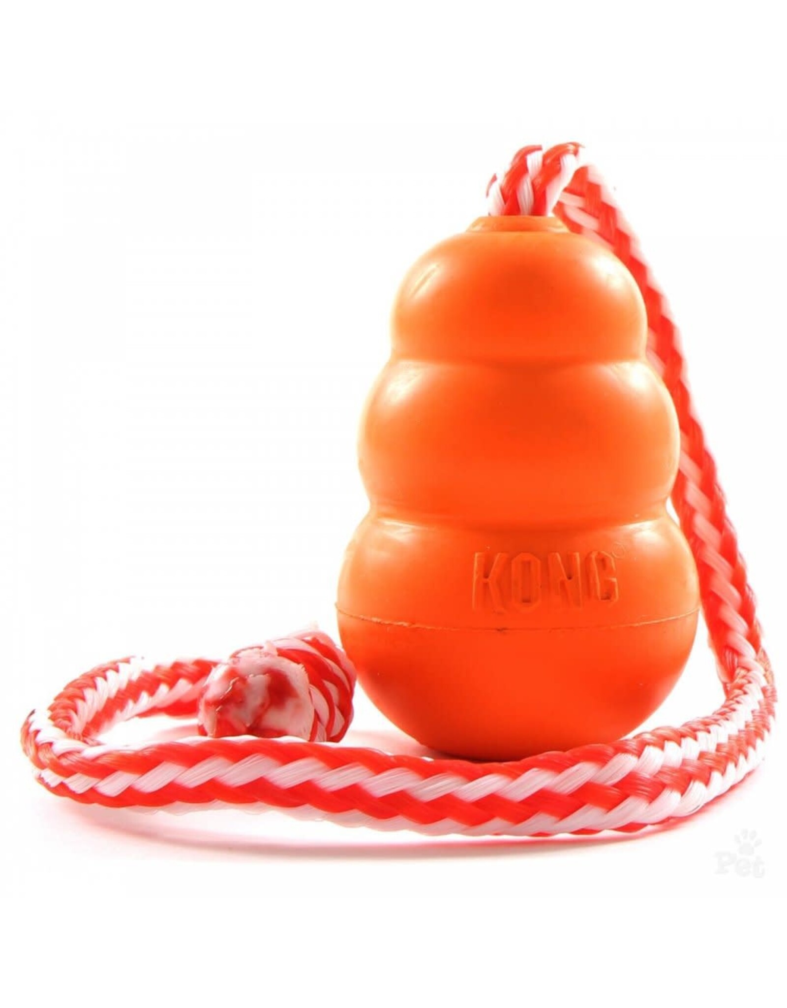 kong Kong Aqua L