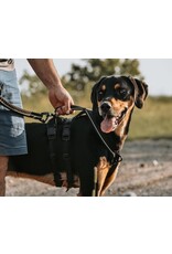 Le Chien Blanc Le Chien Blanc harnais Atlas Noir