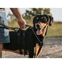 Le Chien Blanc Le Chien Blanc harnais Atlas Noir