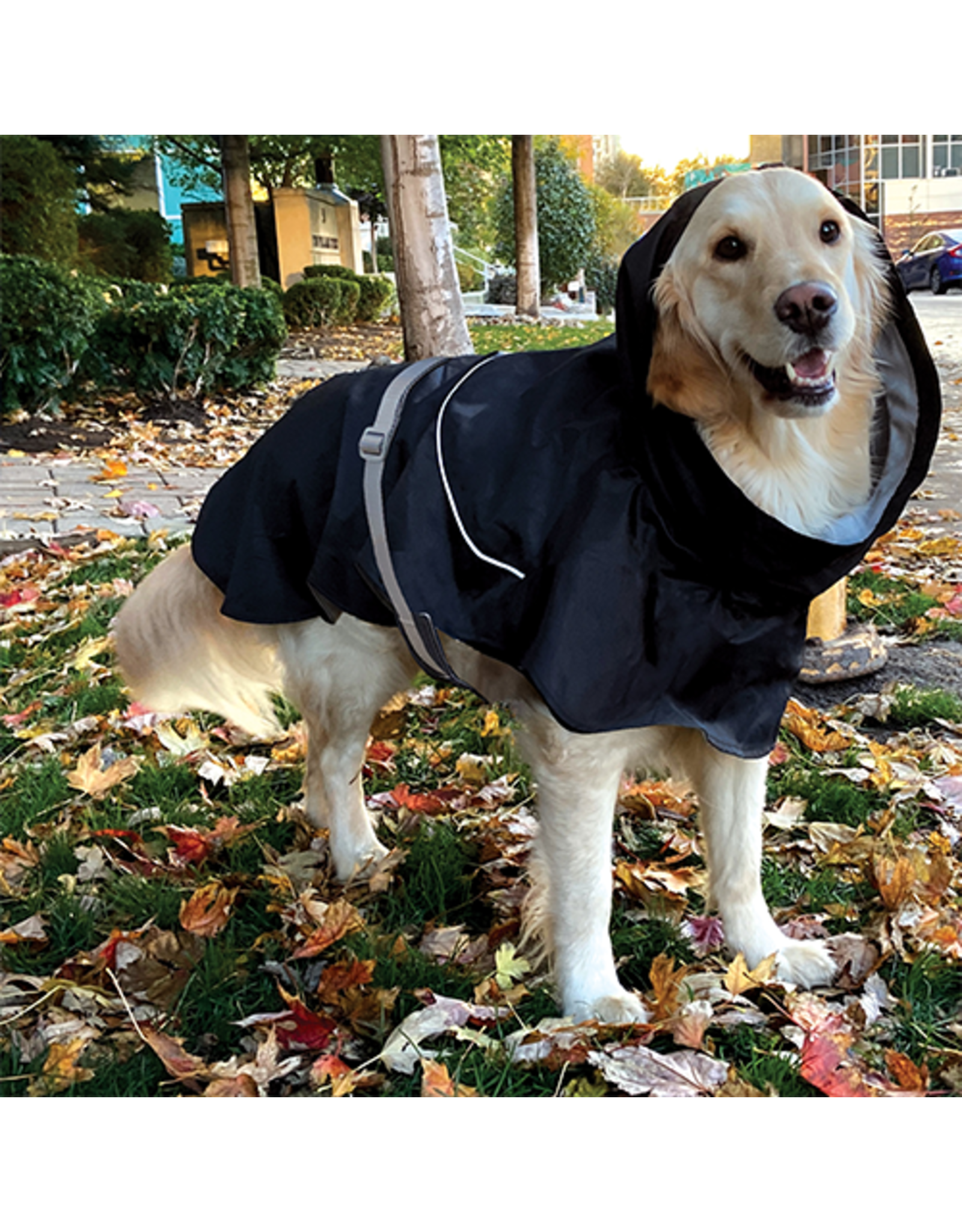 foufoudog FFB Bodyguard Raincoat imperméable noir