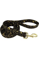 Coastal Coastal Accent Laisse BBG 5/8''x6'