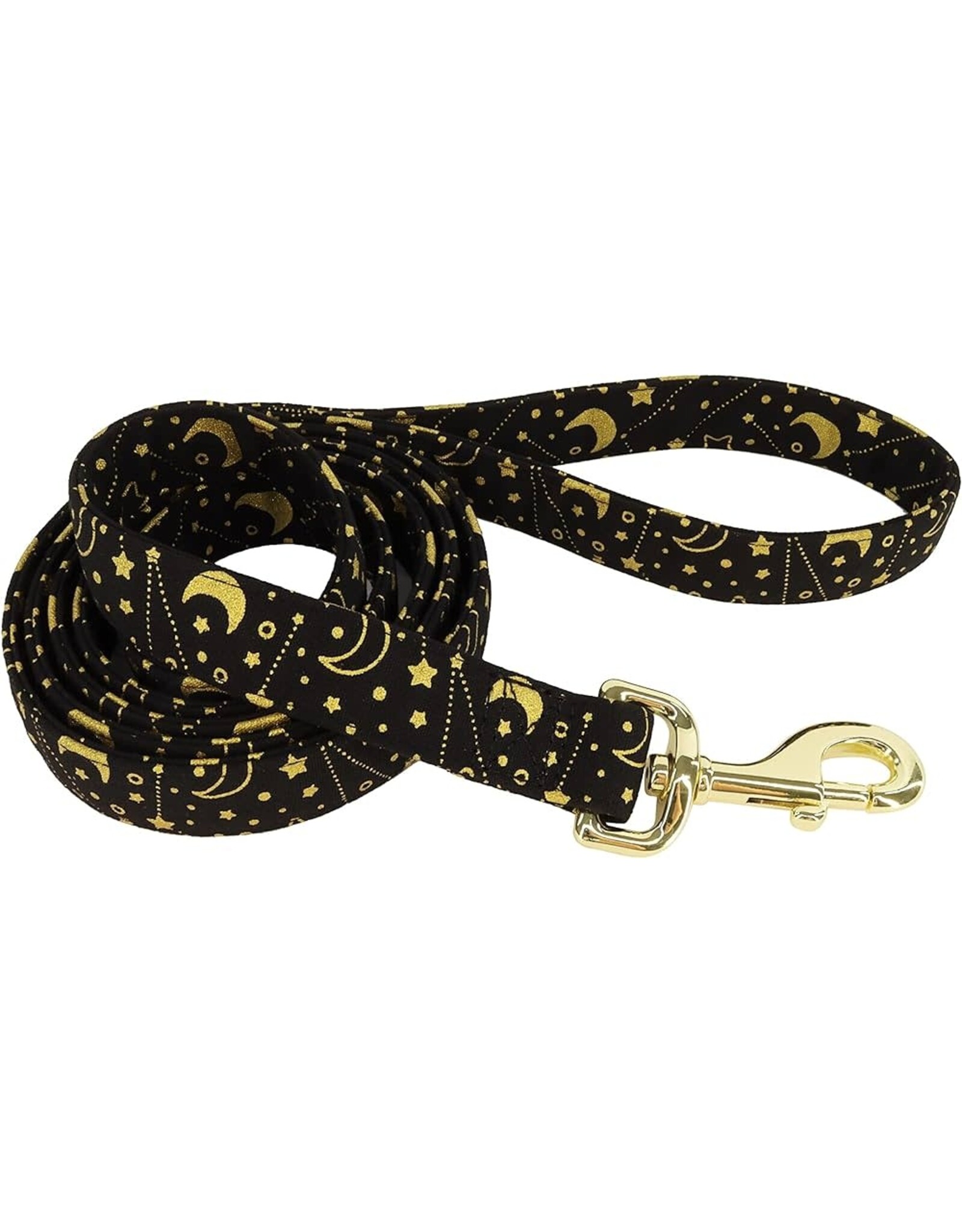 Coastal Coastal Accent Laisse BBG 5/8''x6'