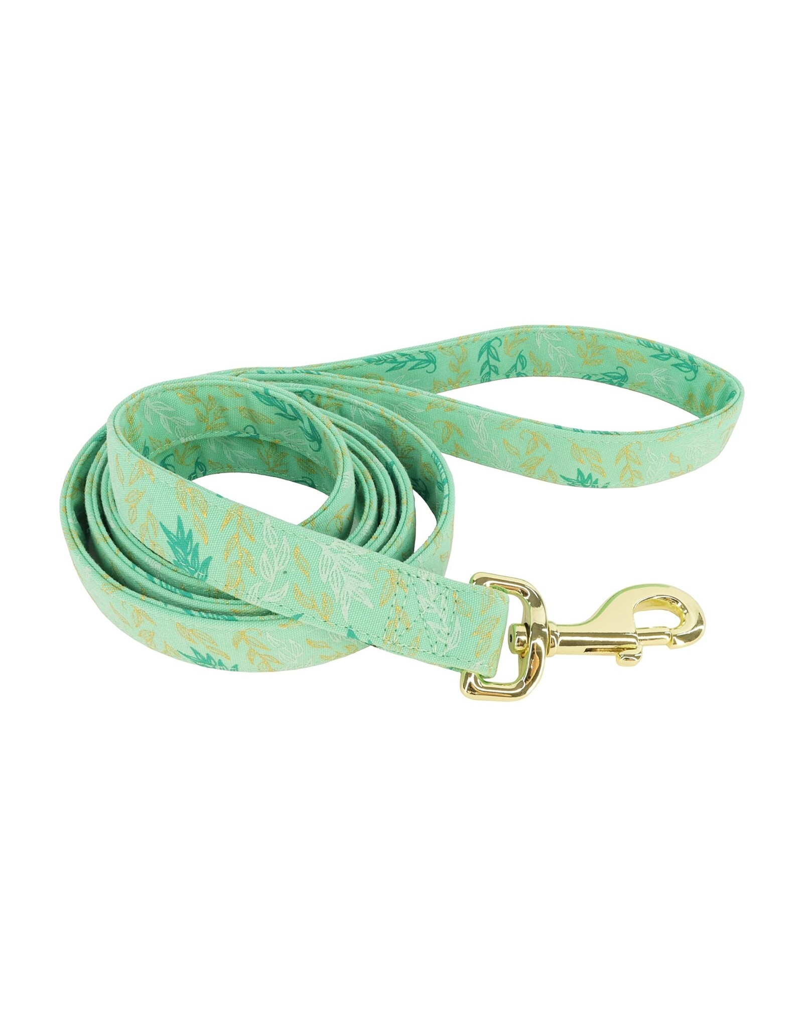 Coastal Coastal Accent Laisse GGL 1''x6'