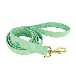 Coastal Coastal Accent Laisse GGL 1''x6'