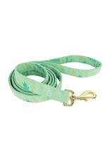 Coastal Coastal Accent Laisse GGL 5/8''x6'