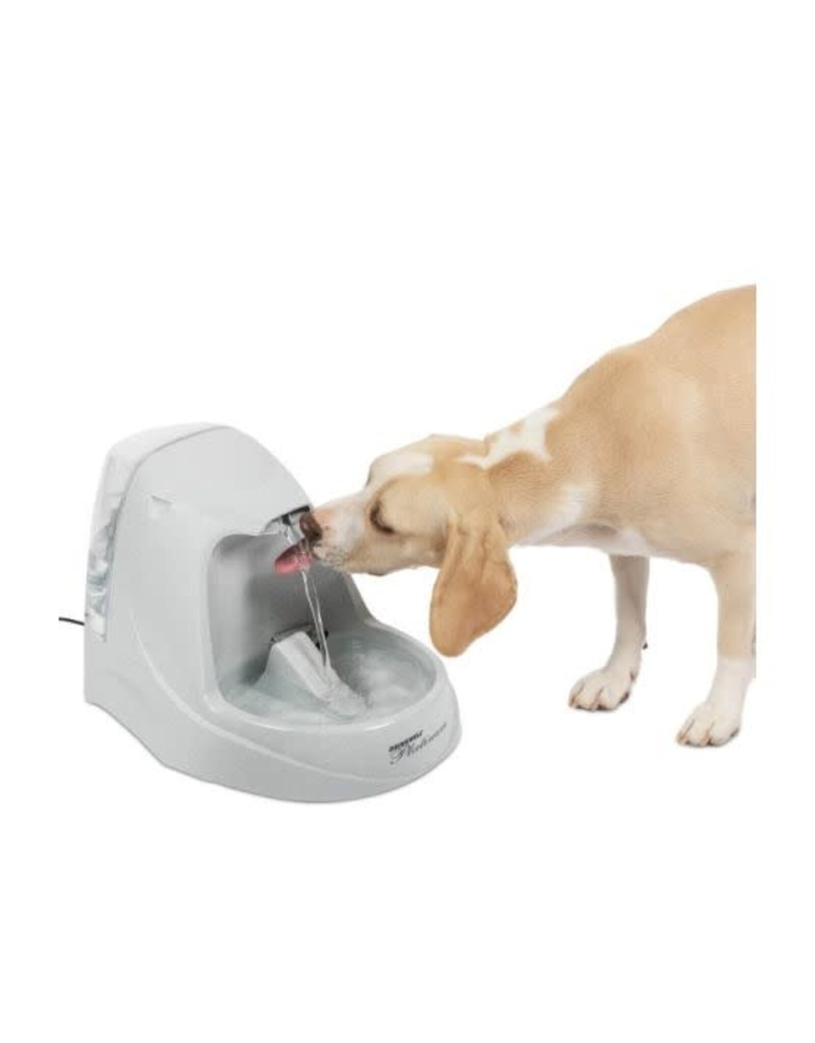 PETSAFE Petsafe Fontaine drinkwell  5L