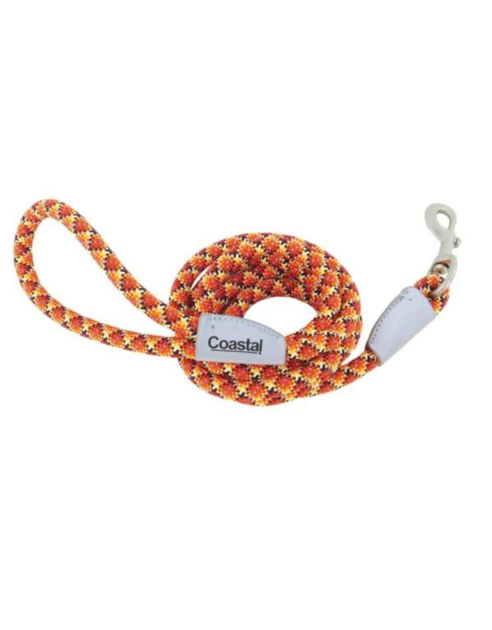 Coastal Coastal Pro Active Laisse Corde Réfléchissante BNG 6'