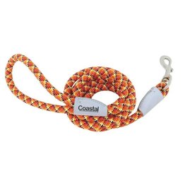 Coastal Coastal Pro Active Laisse Corde Réfléchissante BNG 6'