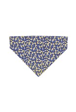Coastal Coastal Accent Foulard pour Collier CBD 7x10''