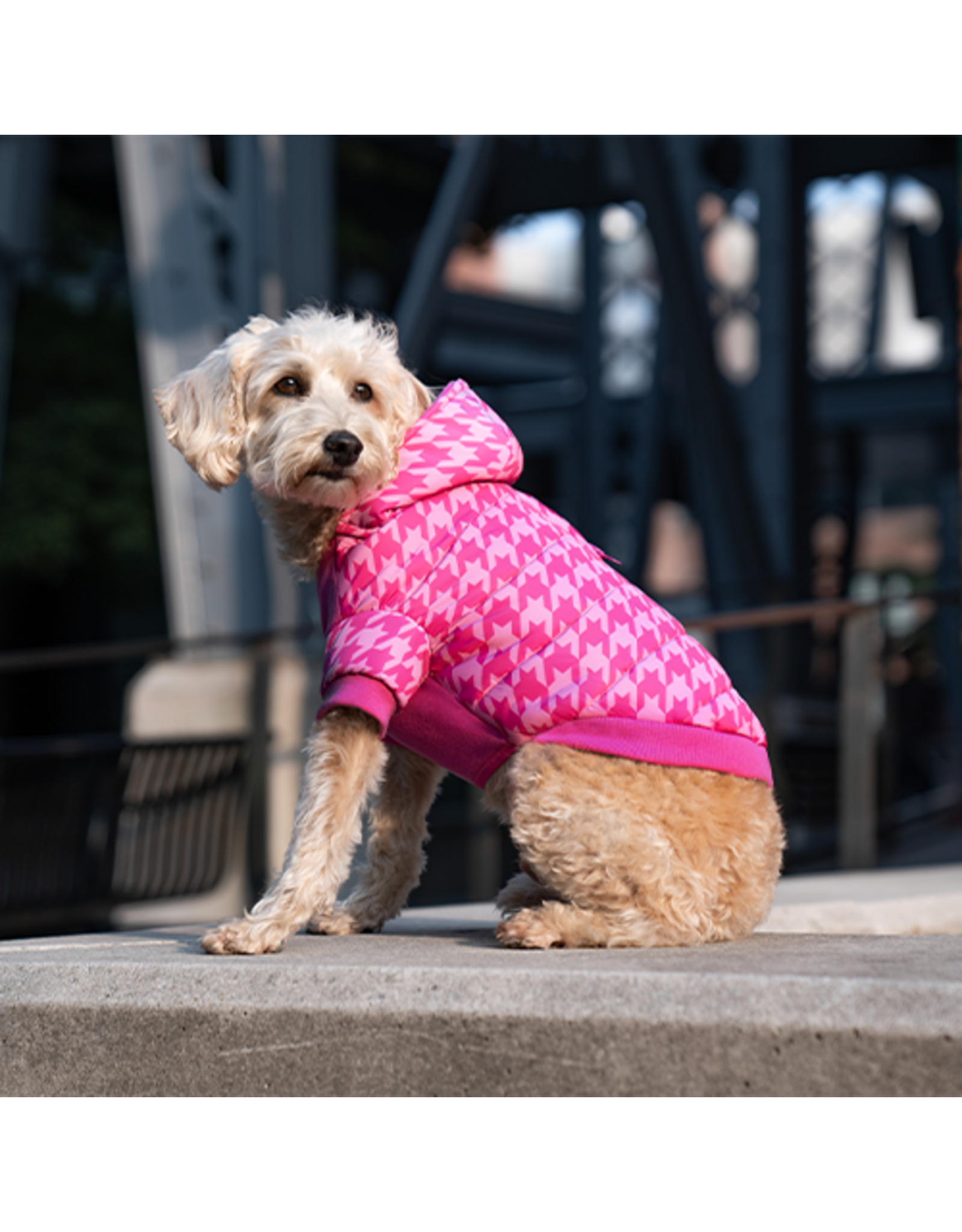 canada Canada Pooch Prism Puffer rose