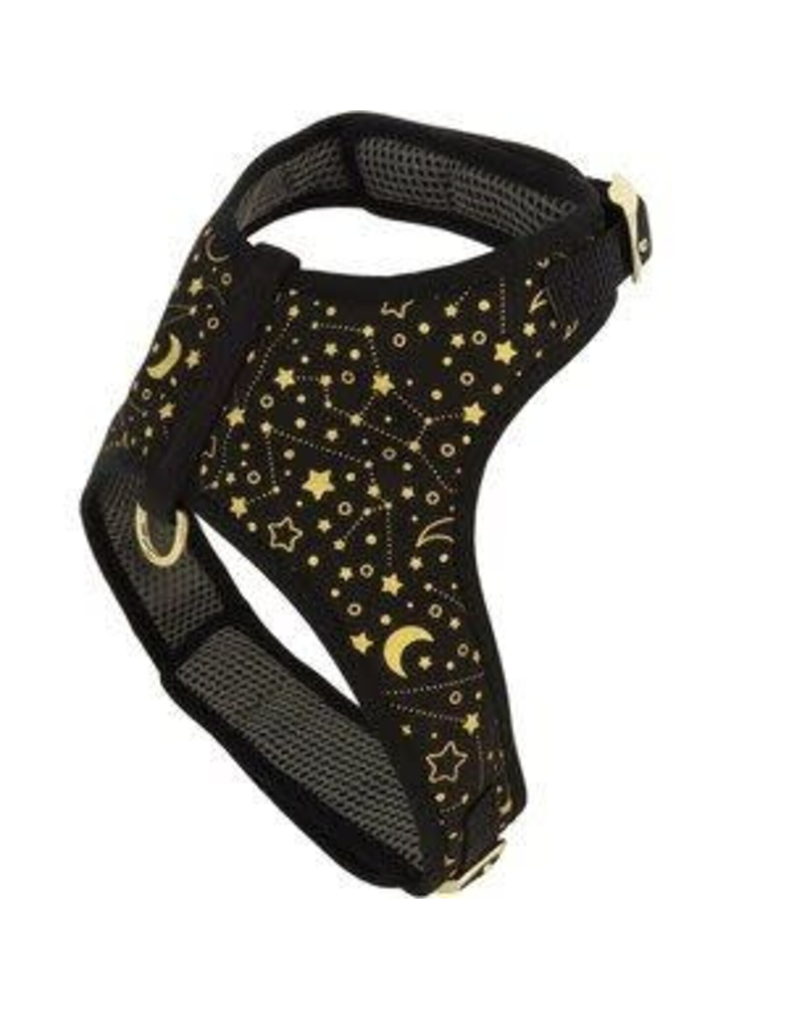 Coastal Coastal Accent Harnais BBG (5-7lbs) XS