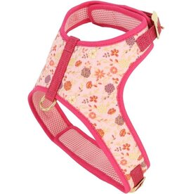 Coastal Coastal Accent Harnais DPF (11-18lbs) M