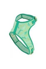 Coastal Coastal Accent Harnais GGL (11-18lbs) M