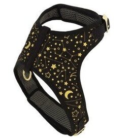 Coastal Coastal Accent Harnais BBG (11-18lbs) M