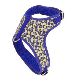 Coastal Coastal Accent Harnais CBD (11-18lbs) M