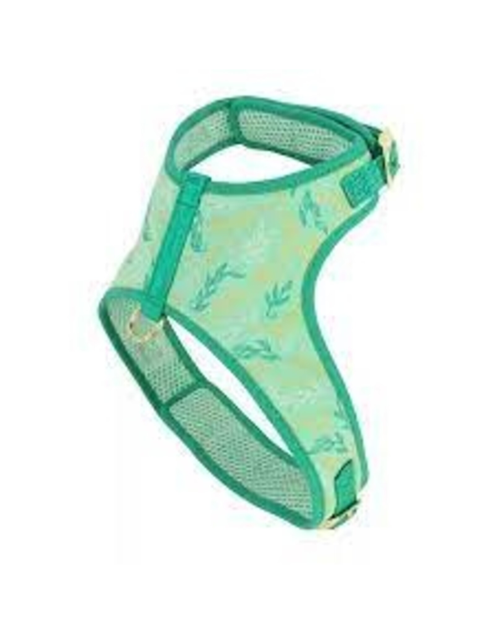 Coastal Coastal Accent Harnais GGL (5-7lbs) XS